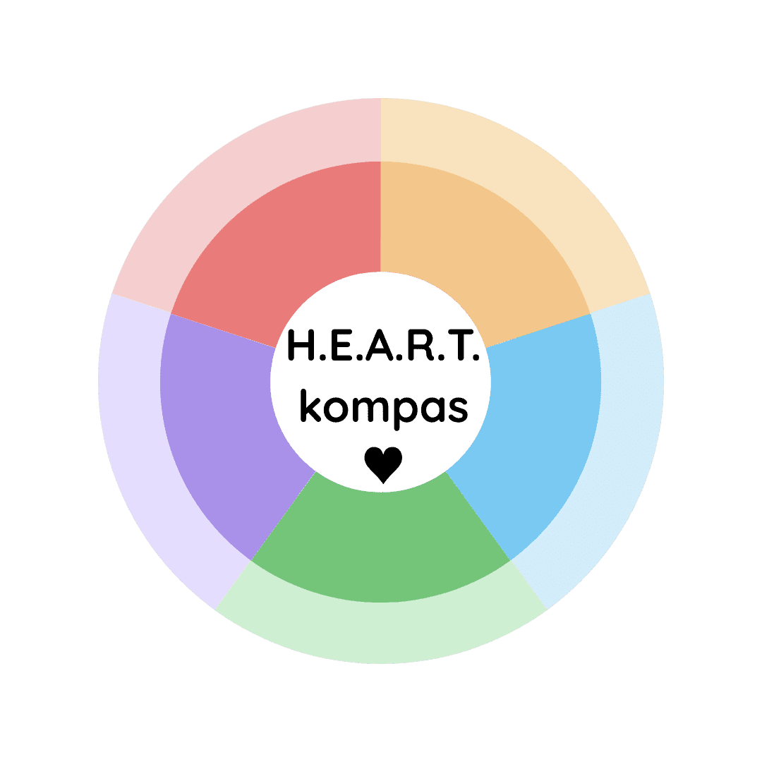 Afbeelding van het H.E.A.R.T. kompas waarbij alle vijf categorieën een eigen kleur hebben.